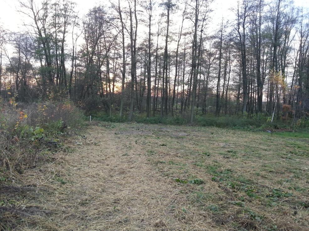 20131027_153211.jpg